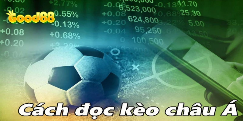 Các loại kèo Handicap phổ biến và cách tính kèo Handicap